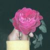 season_kumal