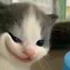 gioinhatlathieuanh