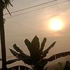 tasyahrp61_