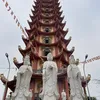 ninhnguen18