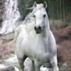 user18620090873025