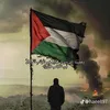 sara.kurd997