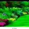 adna.aadan51