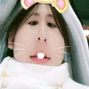 _panhcutti_