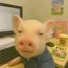 hi_i.m_hieu