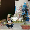 user462021353