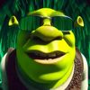 itsyaboy_shrekkk