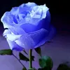 userncqxqbx6sz