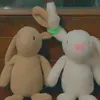 _rebissal_