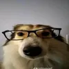 miqueiaz_e