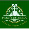 plantsbymarco