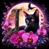 black_cats_lovers