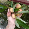 jannat_hussain07