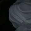 en1s_21