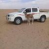 ahmedmahmoud4628