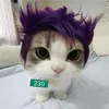 ddiayytii