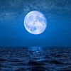 onwa.moon