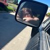 maddielynndavis1
