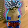 thiagoboobo