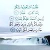 mo_zh511