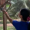 roxanpaluga01