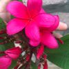 khin.khin.htwe2