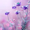 pvn669