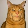 cat.boy943