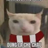 nguyenangduong1