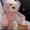 astriani_14r