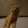 zamm_076