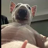 hehehehehehehehhehe12