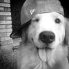 deutchyapper._