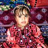 zahoo082