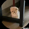 taolanguoihaiduong34