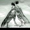 fawad_hassan111