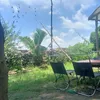 hoangan_17021