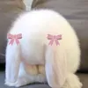 vnw_fnm