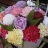 nezaketmirzeyeva6