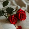 hh.ge