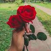 userjasmine3866