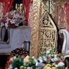 cicit_rajohitam