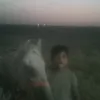 lies_3