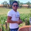 mariorebes