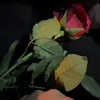 user.asma91