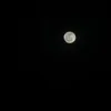 moodyy416