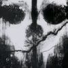 death_morris