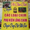 vietphi98