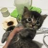 miawmiaw0107