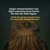 tagheppoktaantem